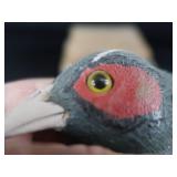 RING NECKED PHEASANT PLUS OTHER DECOYS. RING NECKED PHEASANT PLUS OTHER DECOYS.