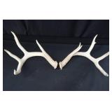 ANTLERS ANTLERS