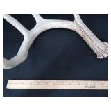 ANTLERS ANTLERS