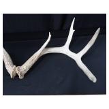 ANTLERS ANTLERS