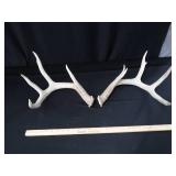 ANTLERS ANTLERS
