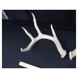 ANTLERS ANTLERS