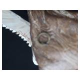 MALLARD WALL HANGING / HEADLESS CORK BODY MALLARD WALL HANGING / HEADLESS CORK BODY