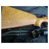 2 AIR SOFT GUNS WITH CASES 2 AIR SOFT GUNS WITH CASES