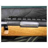 2 AIR SOFT GUNS WITH CASES 2 AIR SOFT GUNS WITH CASES