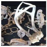 8 ASSORTED SM TRAPS / ANTLERS 8 ASSORTED SM TRAPS / ANTLERS