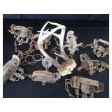 8 ASSORTED SM TRAPS / ANTLERS 8 ASSORTED SM TRAPS / ANTLERS