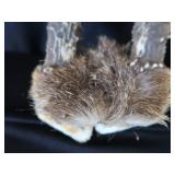 8 ASSORTED SM TRAPS / ANTLERS 8 ASSORTED SM TRAPS / ANTLERS