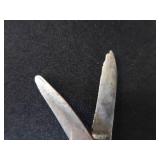 ANTIQUE? / VINTAGE? ANTIQUE? / VINTAGE?