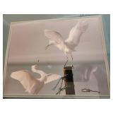 Framed Art Framed Art