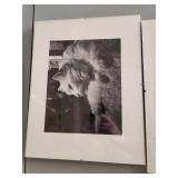 Framed Art Framed Art
