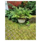 Outdoor Decor Outdoor Decor