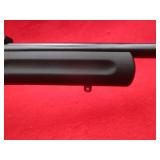 Rossi RB22 22LR Rifle