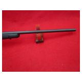 Remington Arms 700 243 Win Rifle