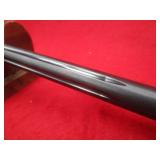 Savage Arms A-22 22LR Rifle w/Thumbhole Stock