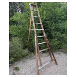 Werner 10 ft Heavy Duty Ladder Werner 10 ft Heavy Duty Ladder