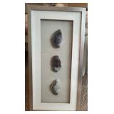 Framed Trio of Agate Stone Slices Wall Art