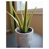 Accent Furniture Set with Multicolor Wood Chair, Modern Side Table, and Floor Lamp