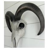 Ram Skull Wall Mount with Curved Horns