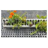 Galvanized Metal Trough Planter with Succulents and Flowers