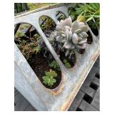 Galvanized Metal Trough Planter with Succulents and Flowers