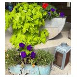 Galvanized Metal Planter Set with Decorative Lantern
