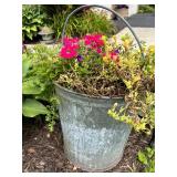 Vintage Galvanized Metal Bucket Planter with Flowers