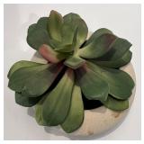 Wayzata Trojans High School Wooden Sign by Ceasto Designs with Succulent Decor