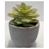 Vintage Decor Lot with Coca-Cola Crate, Old Dutch Potato Chips Tin, Red Wooden Basket, and Faux Succulent