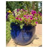 Blue Ceramic Planter with Mixed Annual Flowers