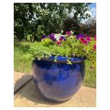 Blue Ceramic Planter with Mixed Colorful Flowers