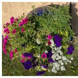 Blue Ceramic Planter with Mixed Colorful Flowers