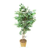 80-inch Indoor Faux Tree Plant 80-inch Indoor Faux Tree Plant