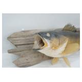 Walleye Mount 25"/35"