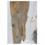 Walleye Mount 25"/35"