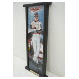 Dale Earnhardt NASCAR Framed Porcelain Collector Plates