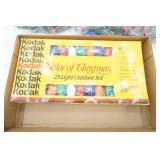 Outdoor Christmas Lights