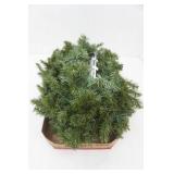 Lighted Garland-Works!