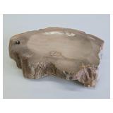 Nice Polished Petrified Wood Bowl / Tray