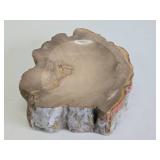 Nice Polished Petrified Wood Bowl / Tray