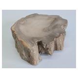 Nice Polished Petrified Wood Bowl / Tray