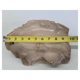 Nice Polished Petrified Wood Bowl / Tray