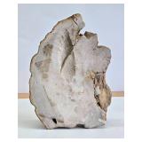 Nice Polished Petrified Wood Bowl / Tray