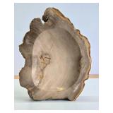 Nice Polished Petrified Wood Bowl / Tray