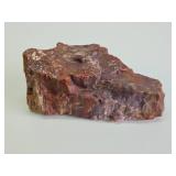 Large Piece of Arizona Petrified Wood - Just Under 5lbs