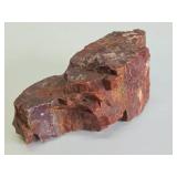 Large Piece of Arizona Petrified Wood - Just Under 5lbs