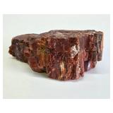 Large Piece of Arizona Petrified Wood - Just Under 5lbs