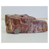 Large Piece of Arizona Petrified Wood - Just Under 5lbs