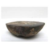 Great Estate Lot of Turtle Back Stones Fossils etc