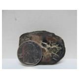 Great Estate Lot of Turtle Back Stones Fossils etc